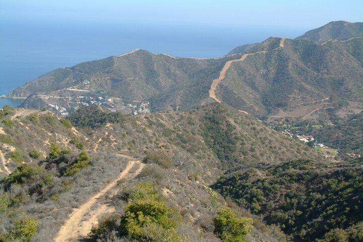 Catalina Island 2-Hour Inside Adventure Tour