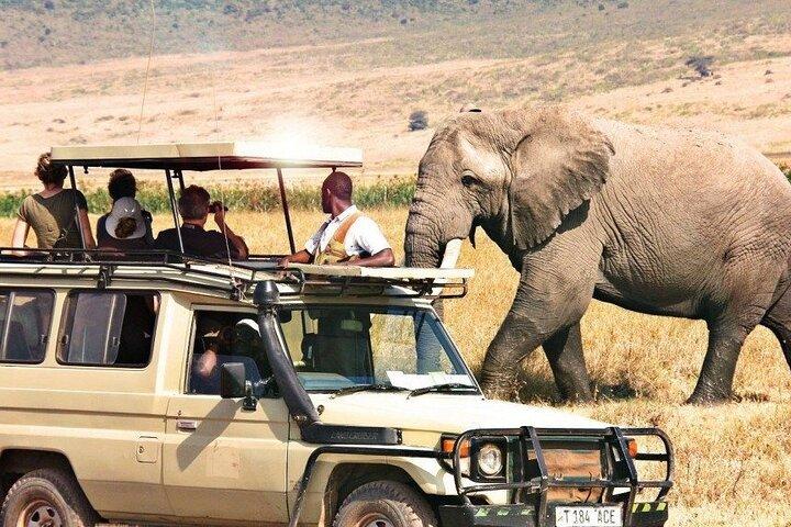 7 Days Private Tanzania Safari