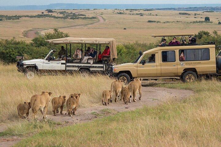 7 Days Private Tanzania Safari