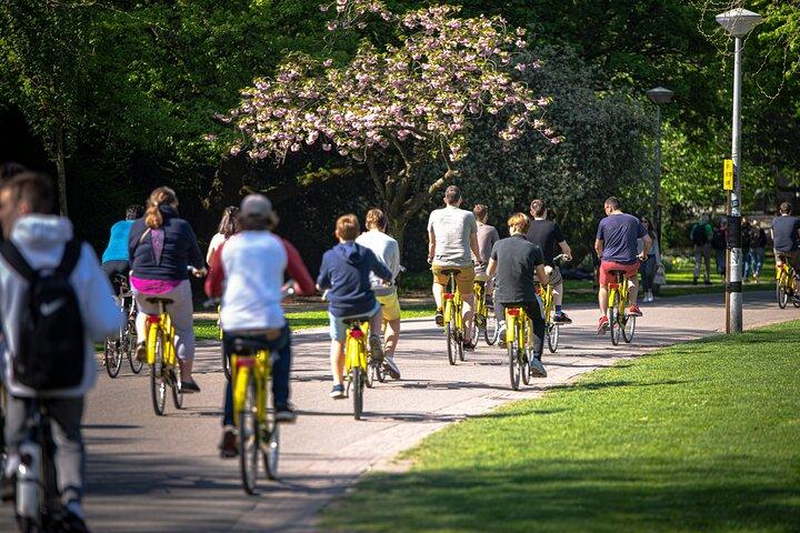 The Original Bike Tour of Amsterdam Highlights and Hidden Streets