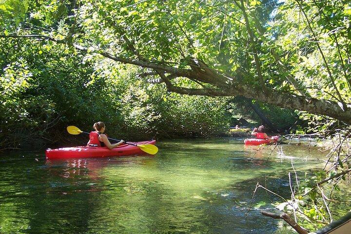 River of Golden Dreams Canoe and Kayak Self Guided Excursion