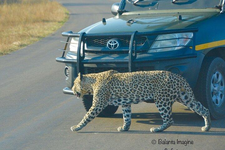 All inclusive 3 Day Kruger Safari From Nelspruit
