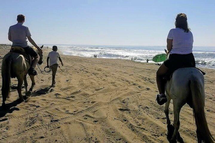 Gentle Paradise Lonely Beach Horseback Ride & Afro-Mex Village