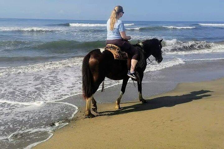 Gentle Paradise Lonely Beach Horseback Ride & Afro-Mex Village