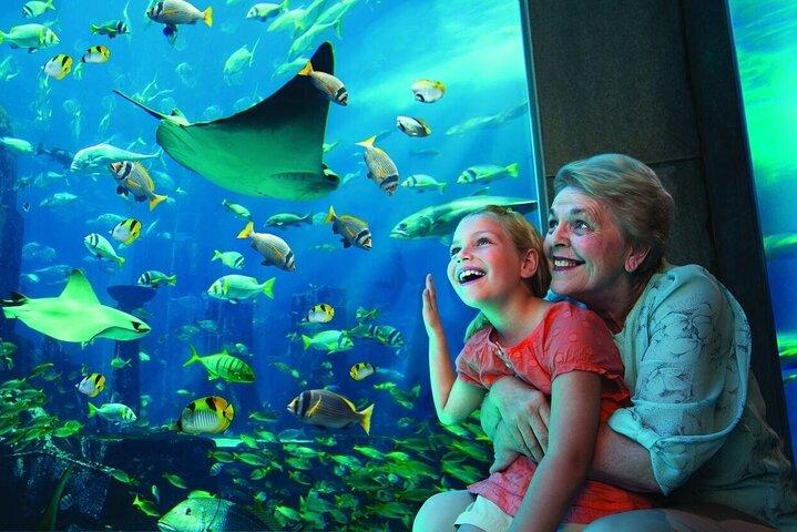 Atlantis Aquaventure And Lost Cambers Aquarium with Transfer