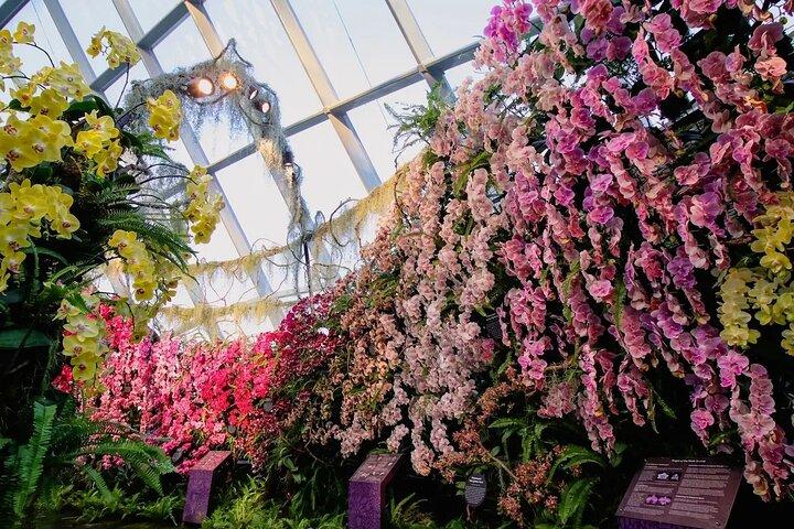 Gardens by the Bay E-Tickets: Flower Dome+Cloud Forest