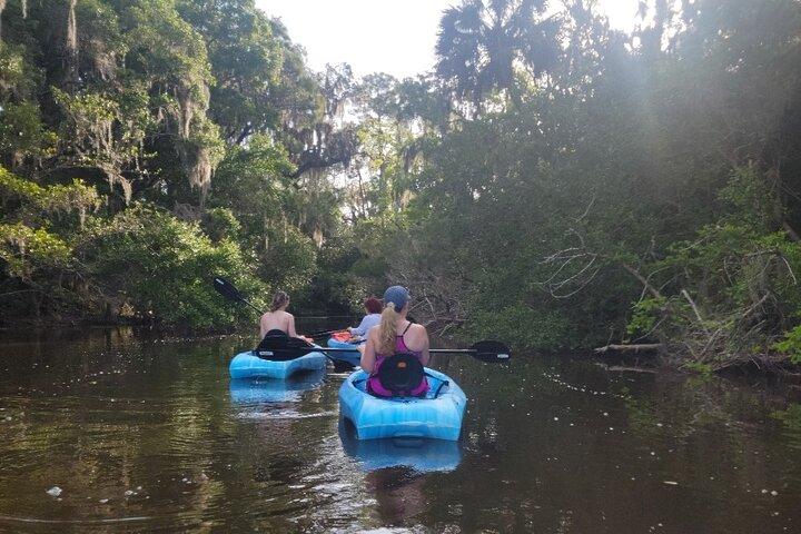 New Smyrna Dolphin and Manatee Kayak and SUP Adventure Tour