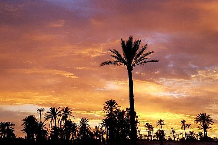 Sunset Camel Ride in Agadir With Hotel Pick up and Drop off