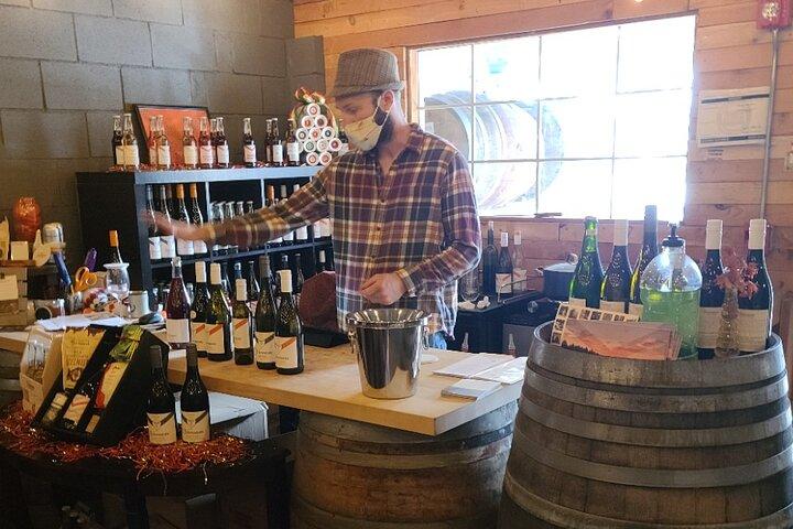 Willamette Valley Wine Tour with Lunch