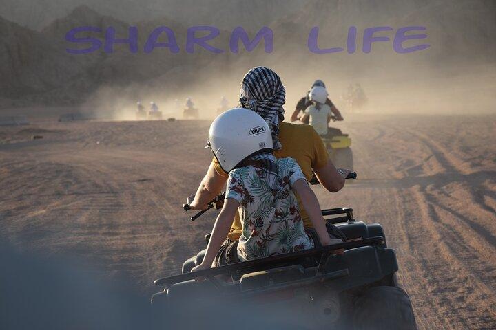 Sharm 5-in-1 Desert Safari: Quad, Camel Ride, Dinner & Stargazing