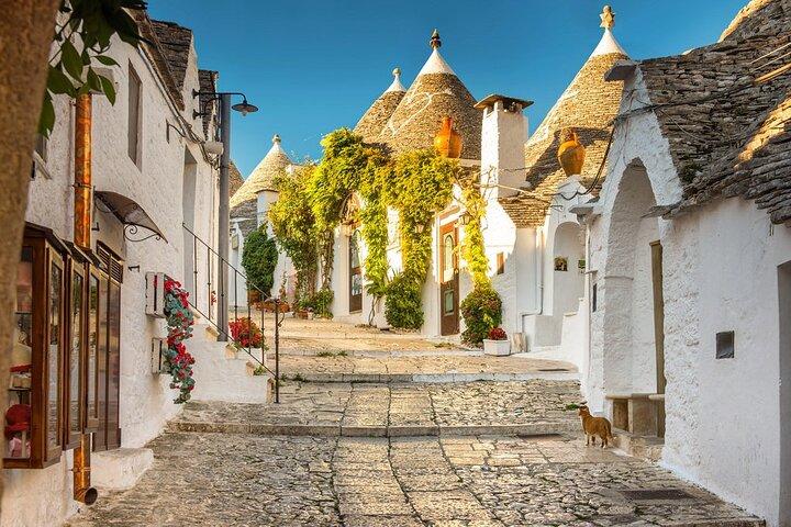 Visit Alberobello, Monopoli, Polignano: Private tour from Bari