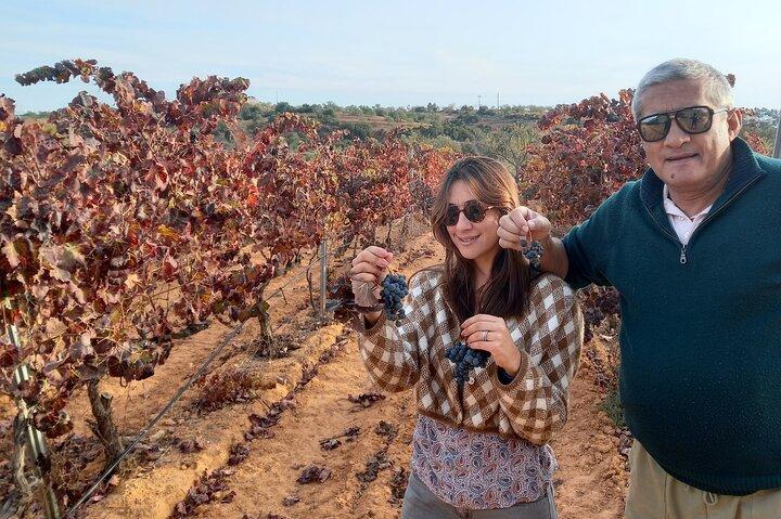 Wine Lovers: Winery Tour w/ Tasting & Tapas (Albufeira/Vilamoura)