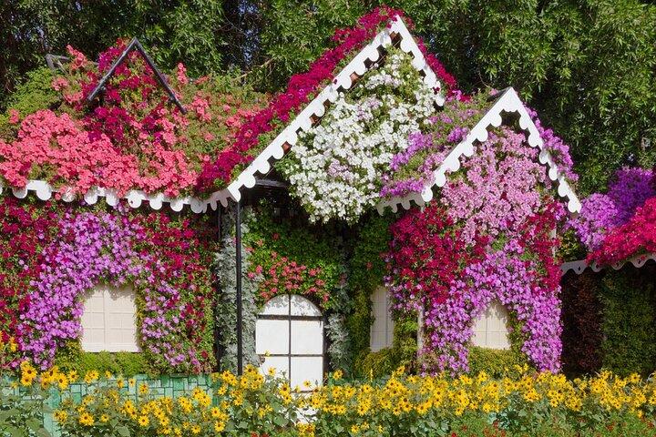 Dubai Miracle Garden and Butter Fly Garden Private Tour