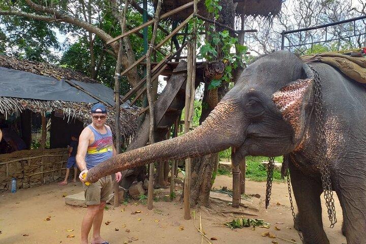 12 Days Sri Lanka Island Adventure and Wild Tour