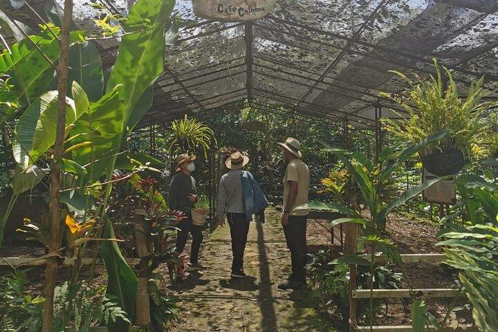 Coffee Farm Tour and beer tasting or a Choachí