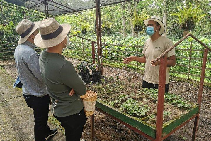 Coffee Farm Tour and beer tasting or a Choachí