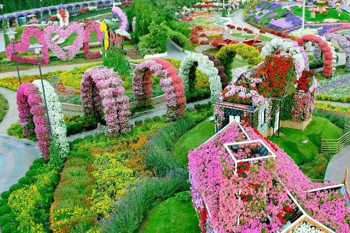 Dubai Miracle Garden Ticket with Transfer