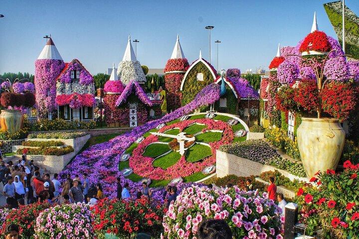 Dubai Miracle Garden Ticket with Transfer