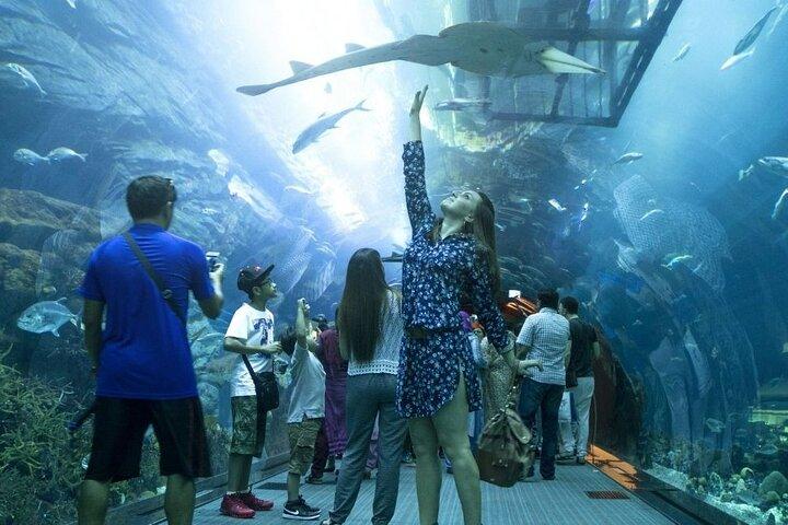 Aquarium and Underwater with Penguin Cove Zoo Dubai Mall