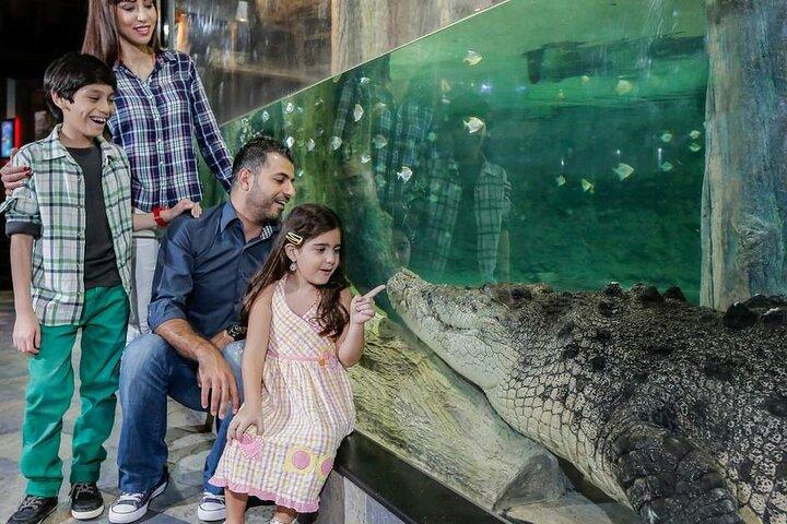 Aquarium and Underwater with Penguin Cove Zoo Dubai Mall