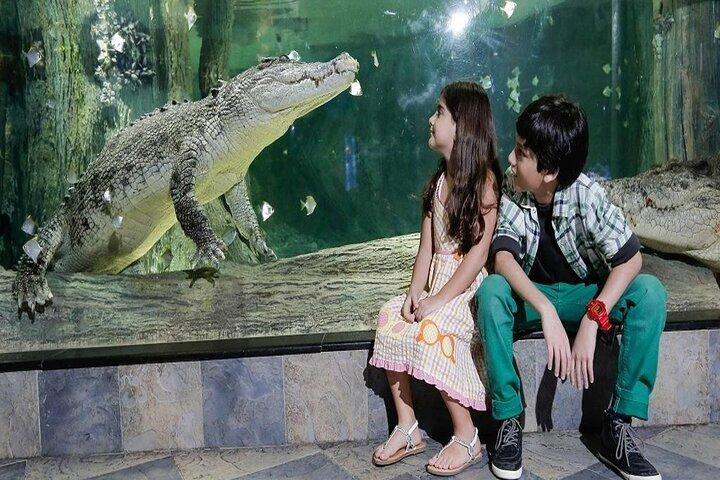 Aquarium and Underwater with Penguin Cove Zoo Dubai Mall