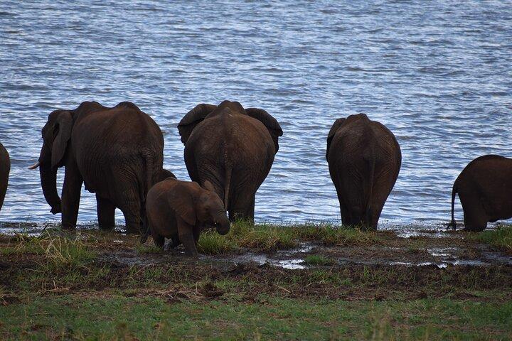 2 Days Tanzania Safari - Tarangire & Ngorongoro (Joint Safari)