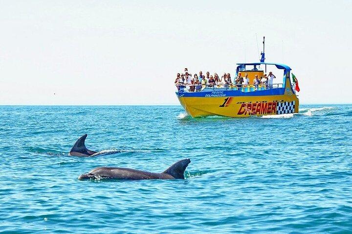 Dreamer Cave and Dolphins Boat Tour Ticket Albufeira