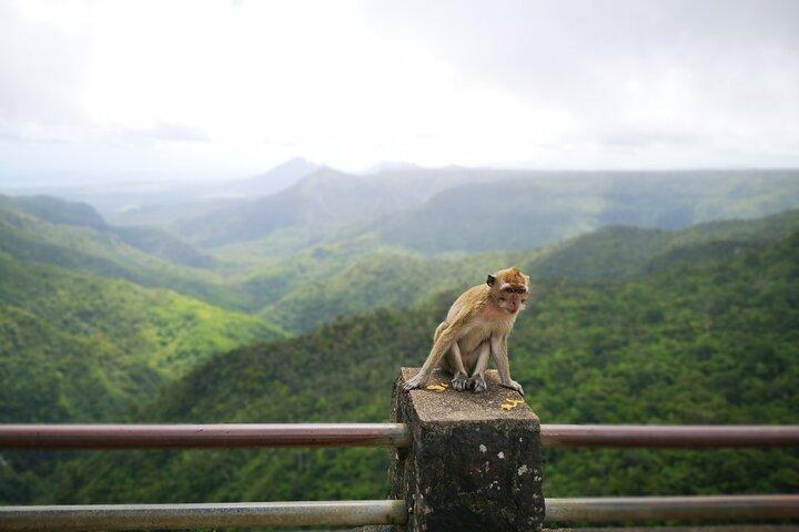 Mauritius Guided South Tour (Private)