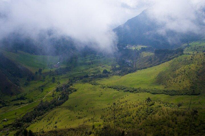 Cocora Valley and Salento Hike Tour