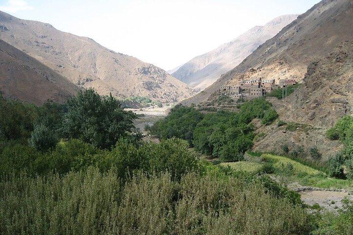 From Agadir or Taghazout : Paradise Valley & Atlas Mountians Trip