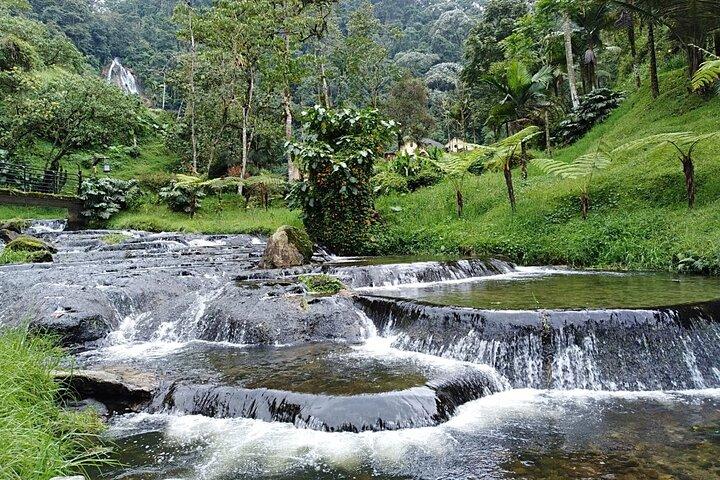 Santa Rosa de Cabal and Hot Springs Day Trip