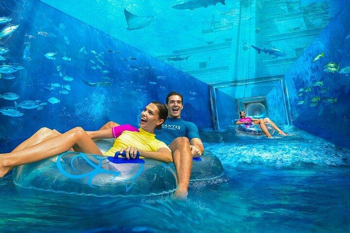 Atlantis Aquaventure And Lost Cambers Aquarium with Transfer