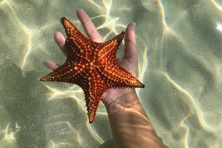 Half-Day Private Customisable Boat Charter in Grand Cayman