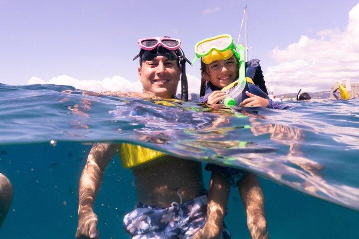 Waikiki Green Sea Turtle Snorkeling Tour - Boat Excursion