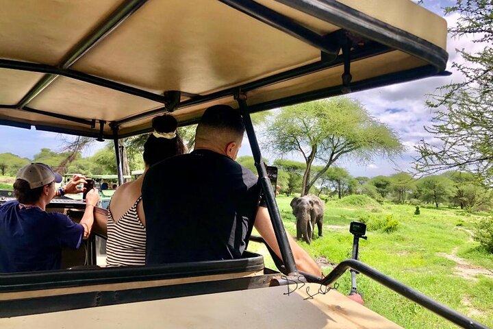 4 Days lodge safari Tarangire , Ngorongoro crater & Walking