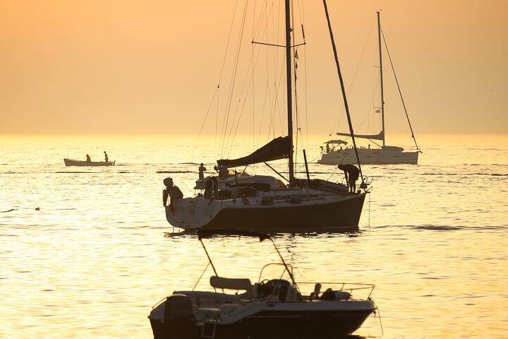 Activated Sailing trip 2 hours from Puerto de Banús Marbella