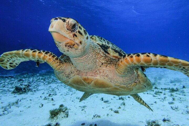 El Cielo Cozumel by Private Boat