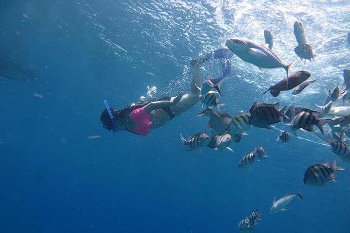 El Cielo Cozumel by Private Boat