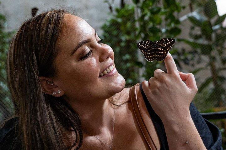 Dubai Butterfly Garden Entry Ticket Only