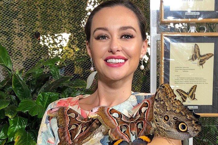 Dubai Butterfly Garden Entry Ticket Only
