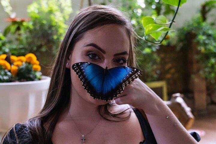 Dubai Butterfly Garden Entry Ticket Only