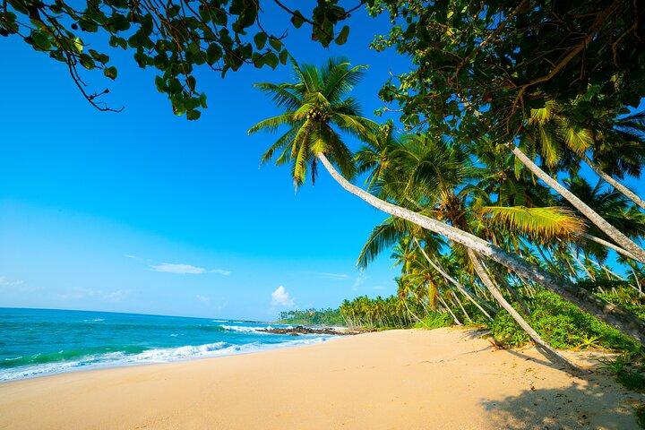 14 Days Tour in Sri Lanka - Fortnight Expedition with Luxury Hotels