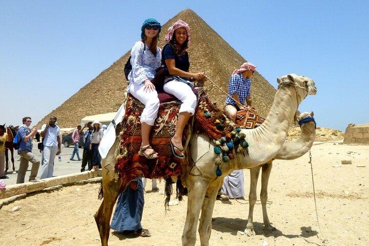 Cairo: 2 Half Days Driver & Guide Giza Pyramids The Museum Sakkara Memphis,