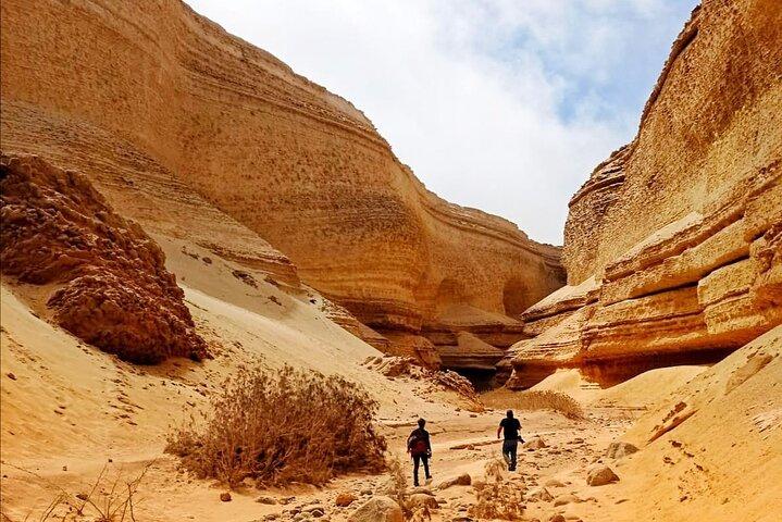 Full Day Tour Canyon of the Lost in Ica Desert
