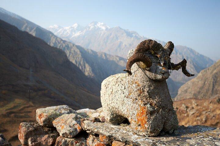 Private day trip to the Caucasus mountains and the Russian border
