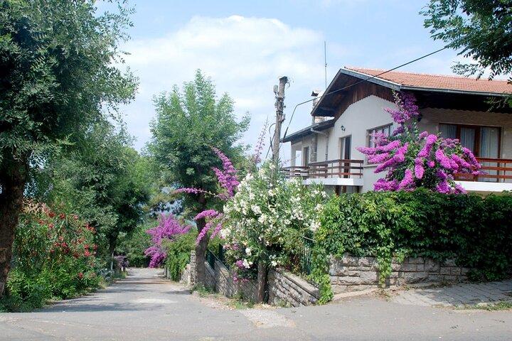 Istanbul: Princes Islands Tour with Hotel Transfer & Lunch