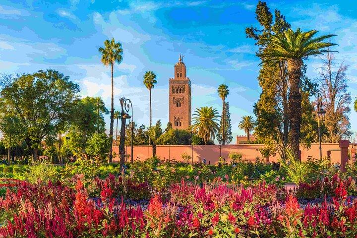 Private Walking Tour on the Spicy Dunes in Marrakech