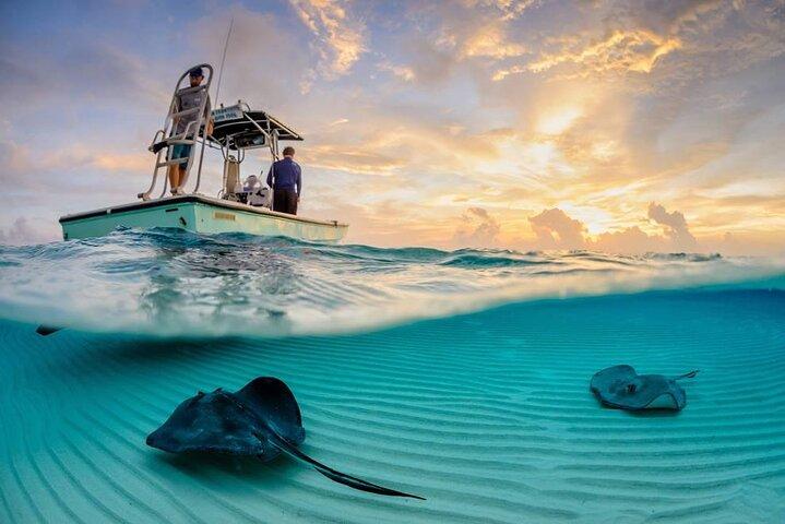 Cozumel Cielo Snorkel Adventure from Cancun and Rivera Maya