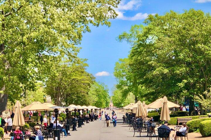 Colonial Williamsburg - Private Tour Celebrating American History