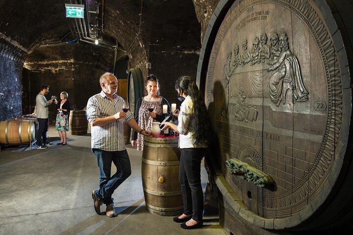 E-Bike Wine Culture Tour